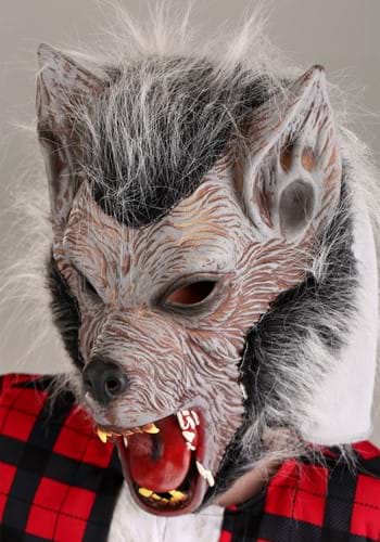 Wily Werewolf Kids Costume