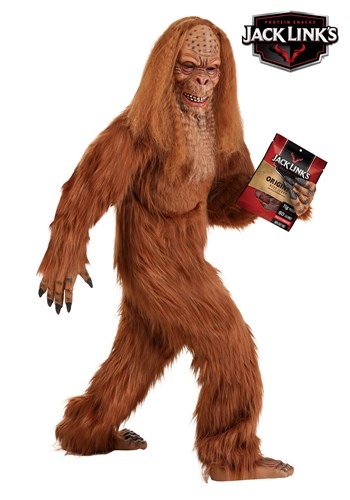 https://images.halloweencostumes.com/products/65277/1-2/kids-jack-links-sasquatch-costume.jpg