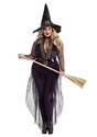 Plus Size Midnight Violet Witch Costume for Women