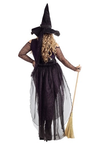 Women's Plus Size Midnight Violet Witch Costume