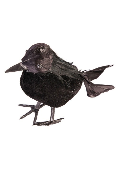 5 inch Black Crow11