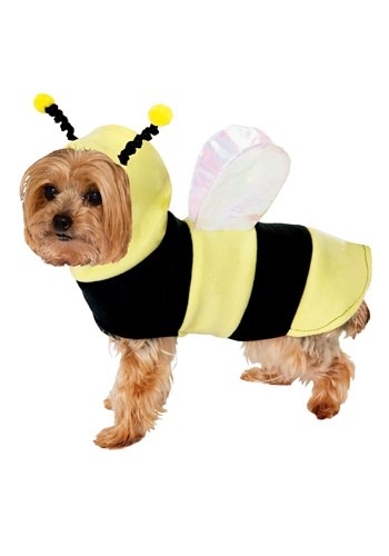 Bumble Bee Dog Costume Update 1
