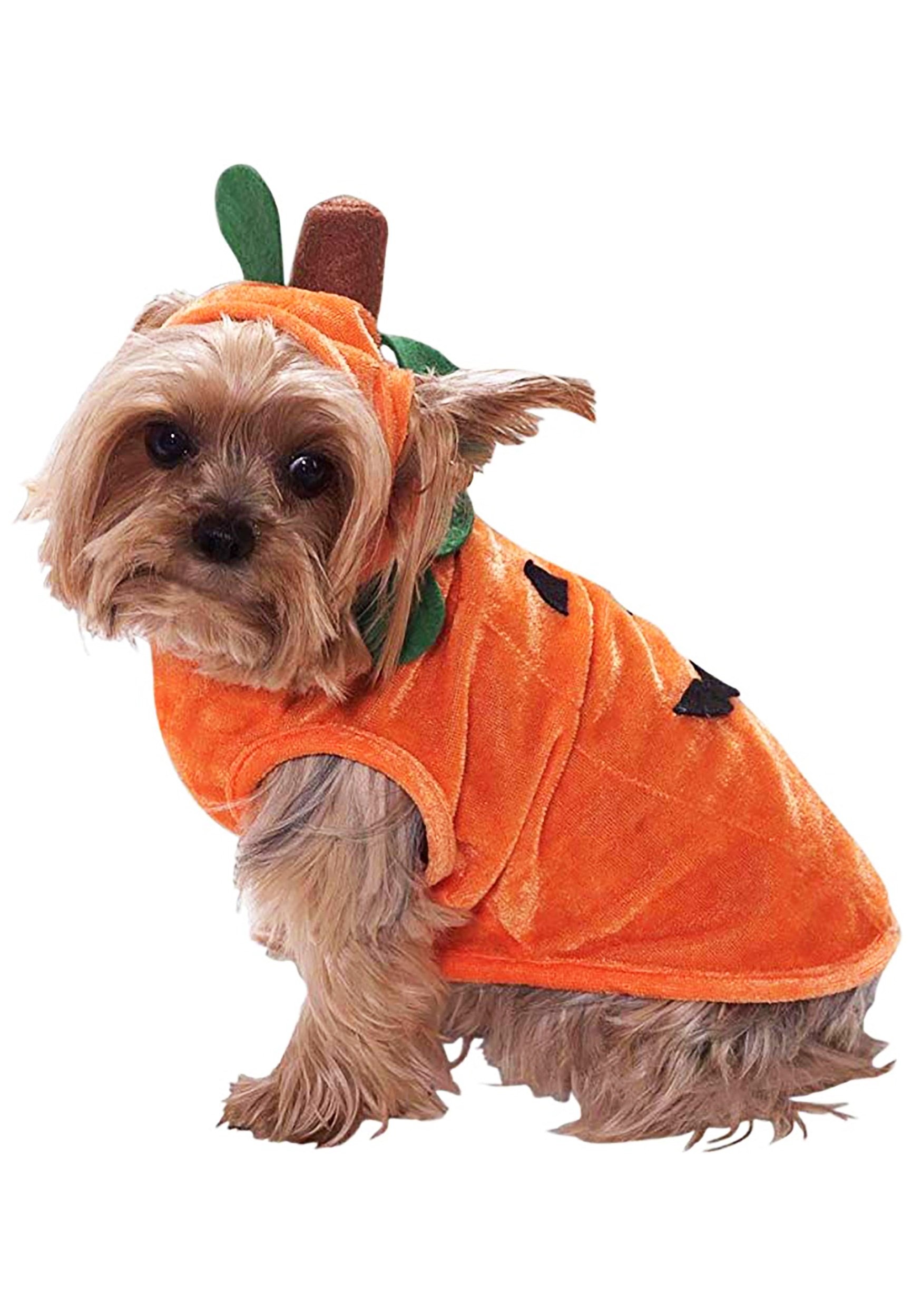 pumpkin dog costume large