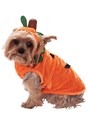 Pumpkin Dog Costume Update 1