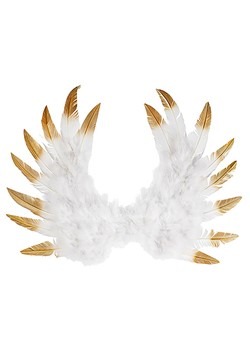 Gold Tipped Angel Wings