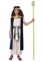 Kid's Egpytian Tunic Costume Alt 1