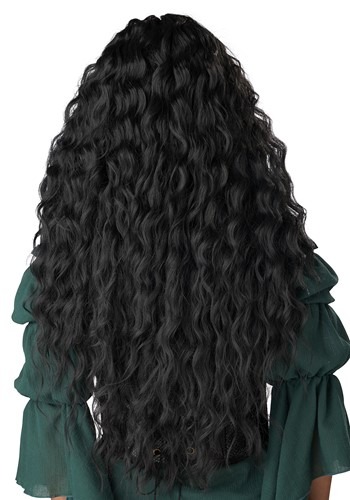 Women's Renaissance Black Costume Wig | Costume Accessories