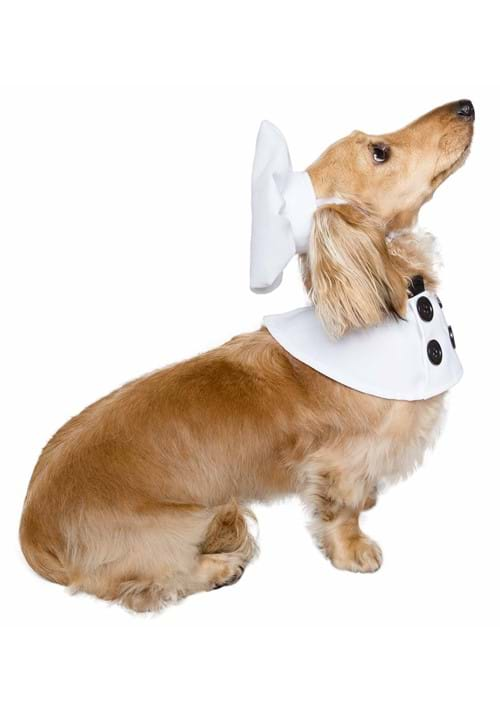 Pet Chef Costume