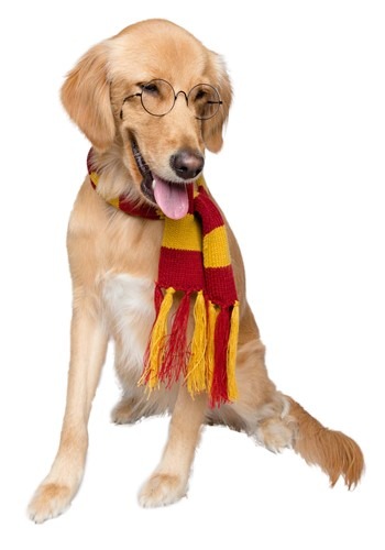 Hipster Wizard Pet Scarf