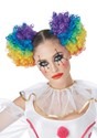  Clown Wig