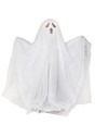 16" Animated Ghost Decoration