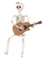 Animated Skeleton w/ Guitar Decoration_update