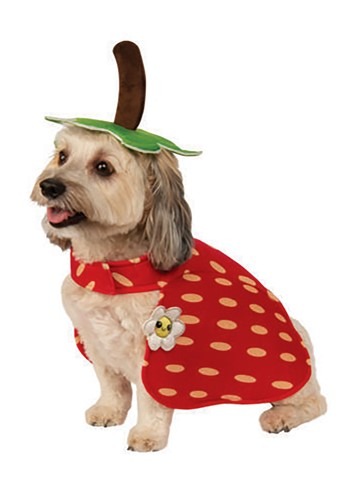Yummy Strawberry Dog Costume