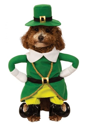 Lucky Walking Leprechaun Dog Costume