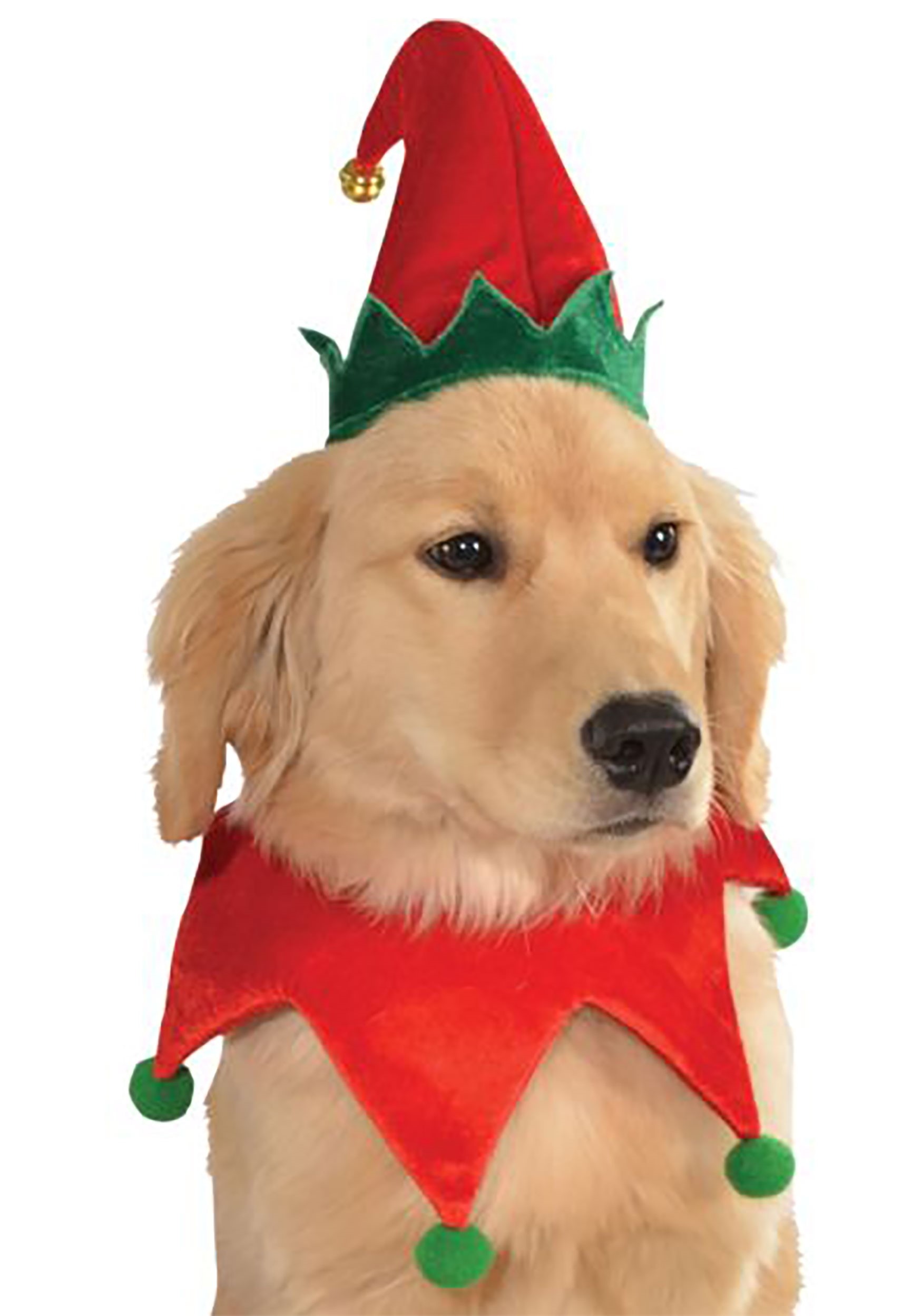 Kit de disfraces de elfo para perros Multicolor