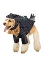 Godzilla Dog Costume