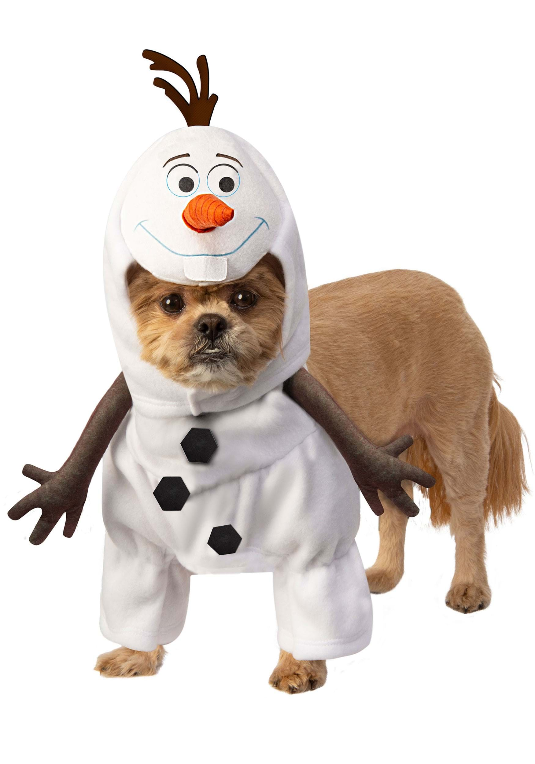 dog snowman outfit