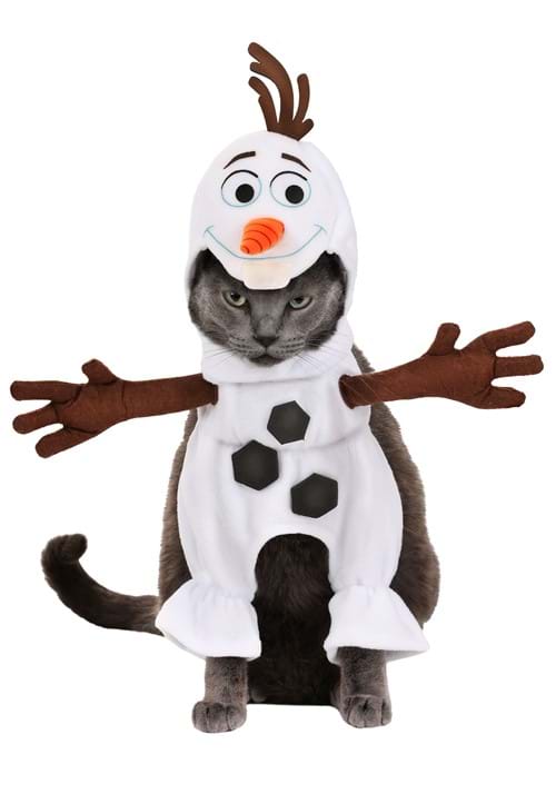 Dog Olaf Costume
 Dog Frozen Olaf Costume