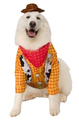 Toy Story Woody Pet Costume