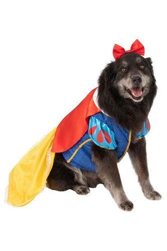 Snow White Plus Size Dog Costume