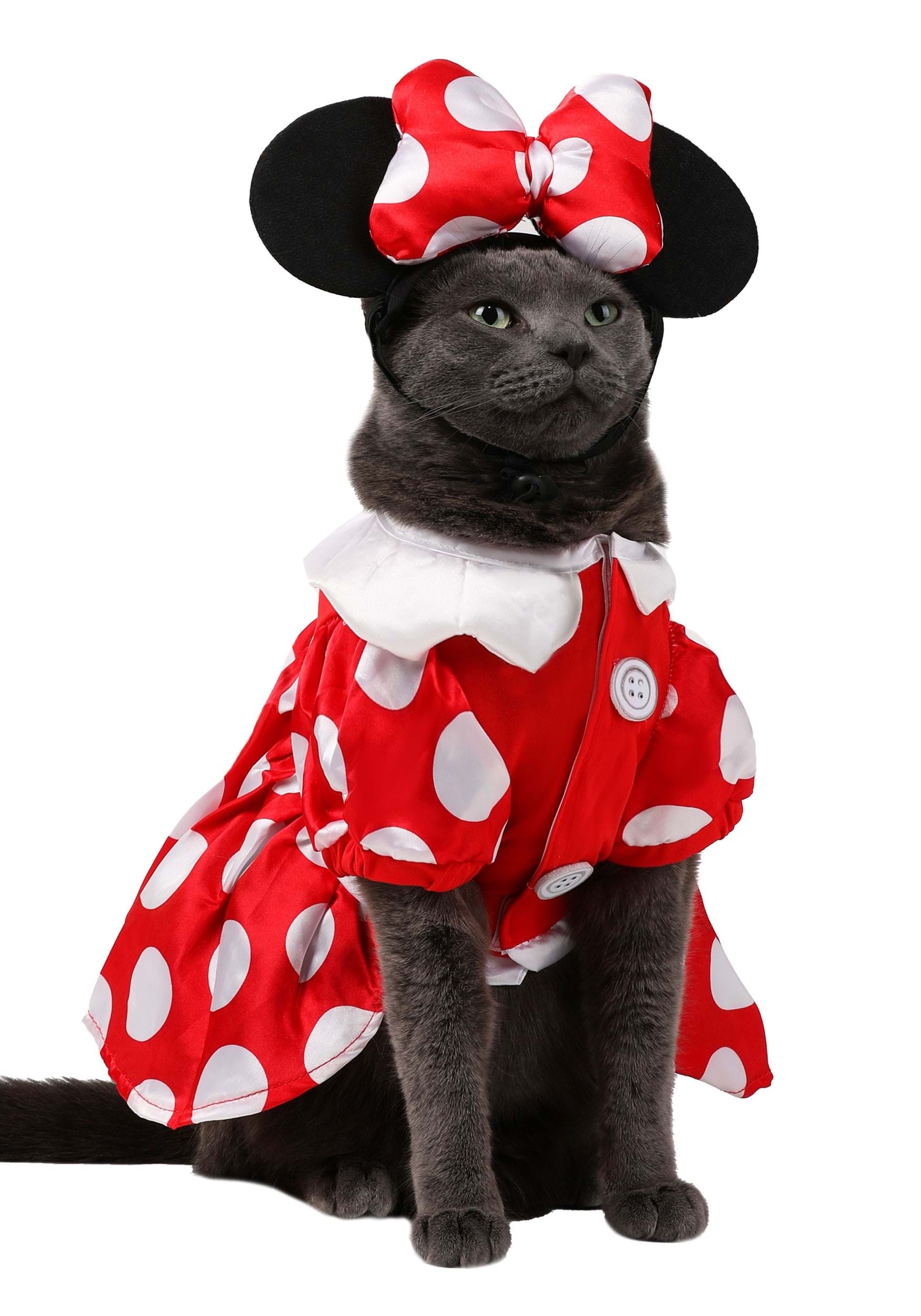 Disney Minnie Mouse Dog Costume , Mickey Mouse And Minnie Mouse Costumes