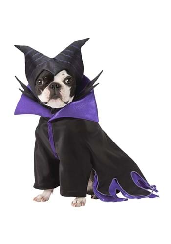 Dog Maleficent Costume