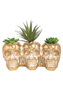 Resin Skull w/ Succulents