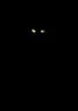 13 Inch Scary Light Up Black Cat Alt 3