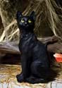 13 Inch Scary Light Up Black Cat Alt 2