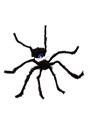 Black Spider Crasher Alt 1