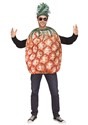 Adult Pineapple Costume