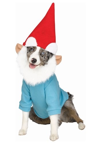 Puppy Gnome Pet Costume