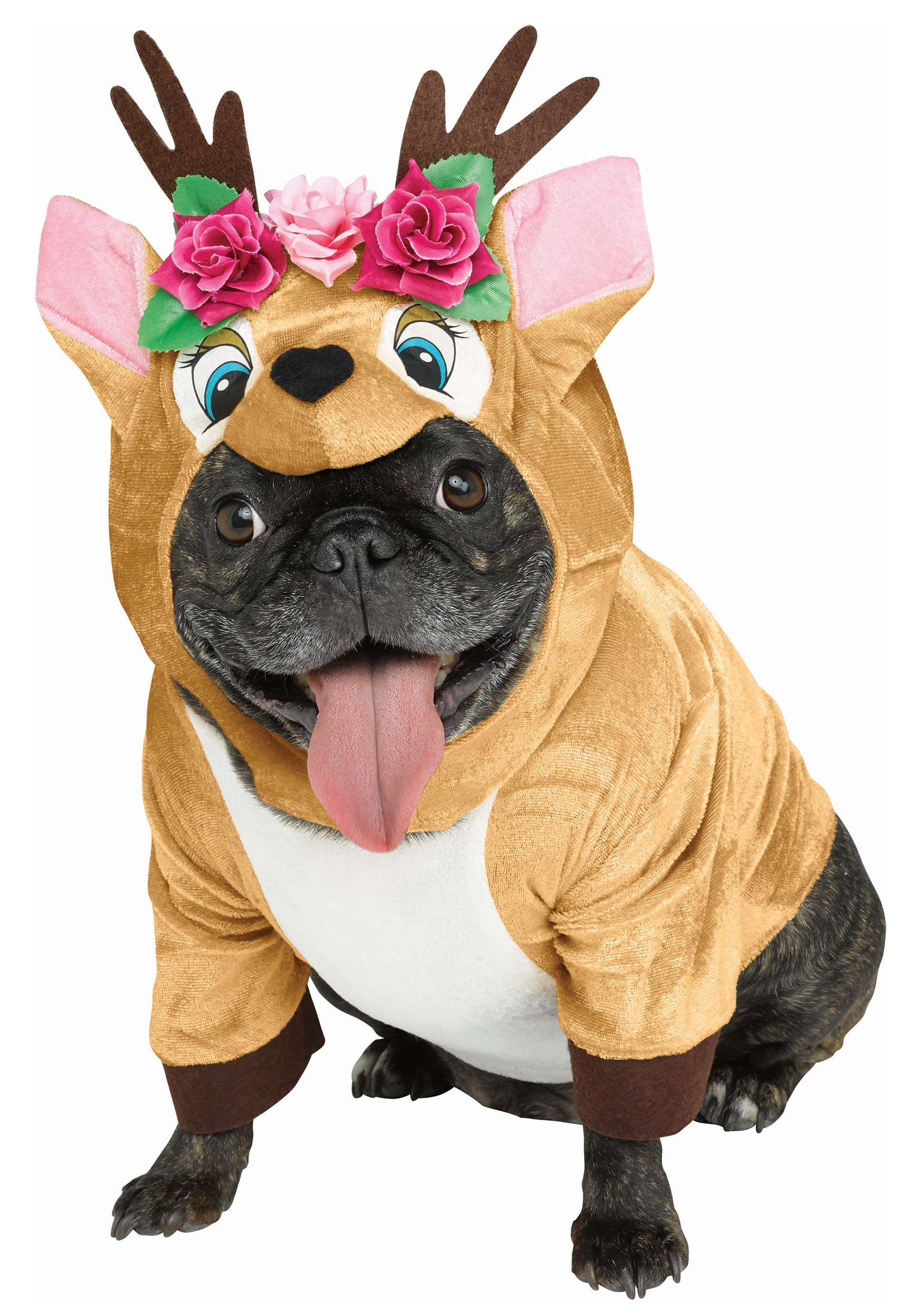 dog dressed as deer