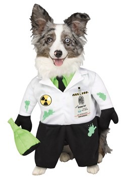 Mad Scientist Pet Costume