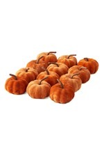 12 2in Orange Velvet Pumpkins Set
