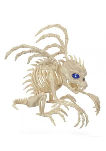 9.5-Inch Gargoyle Light Up Skeleton Decoration | Skeleton Decorations