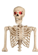 Animated Mr. Crazy Bonez Skeleton Prop