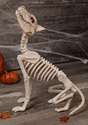 Howling Bonez Animated Dog Skeleton new