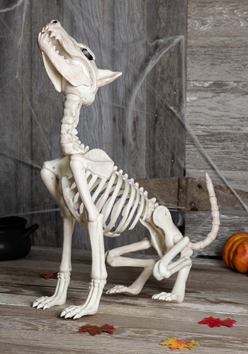 27-Inch Howl At The Moon Dog Skeleton Decoration | Animal Skeletons