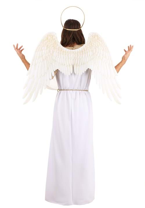 Heavenly Men's Angel Costume