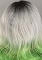 Adult Grey and Green Ombre Wig alt 2