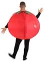 Adult Inflatable Tomato Costume Alt 1