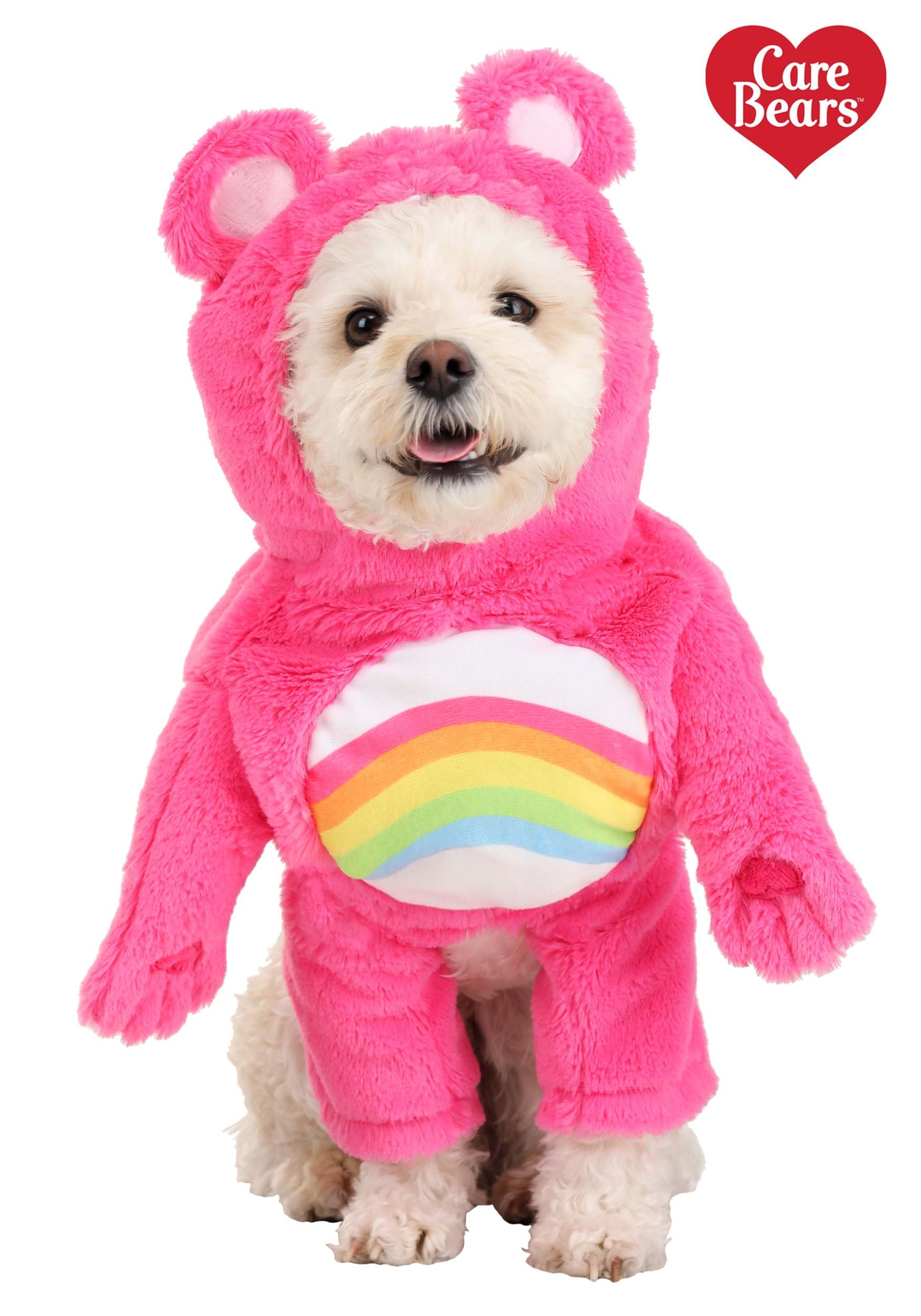 https://images.halloweencostumes.com/products/67565/1-1/care-bears-cheer-bear-dog-costume.jpg