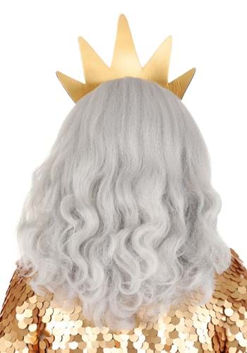 Disney King Triton Beard and Wig Costume Kit | Disney Accessories