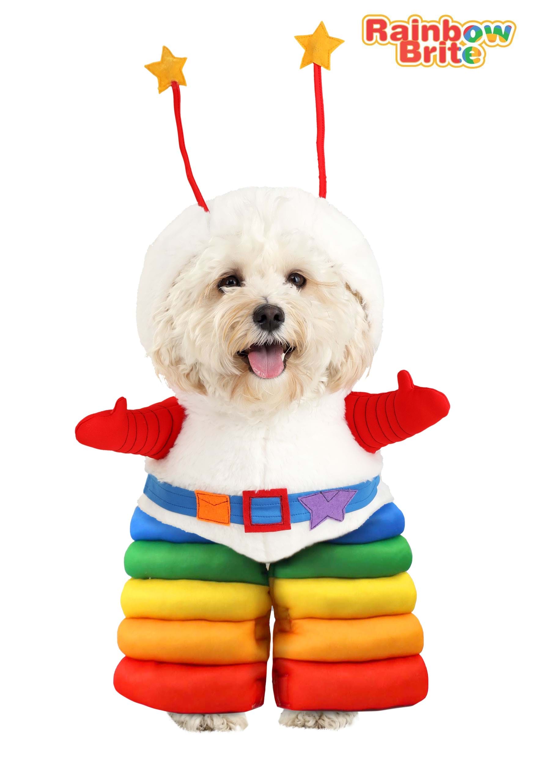 rainbow dog