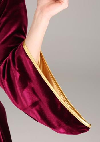 Disney's Tangled Mother Gothel Exclusive Costume for Women