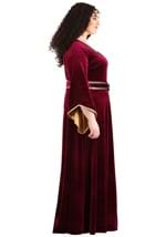Tangled Mother Gothel Plus Size Costume Alt 8