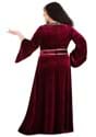 Tangled Mother Gothel Plus Size Costume Alt 1