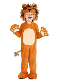 Lion Costume Lion Costume