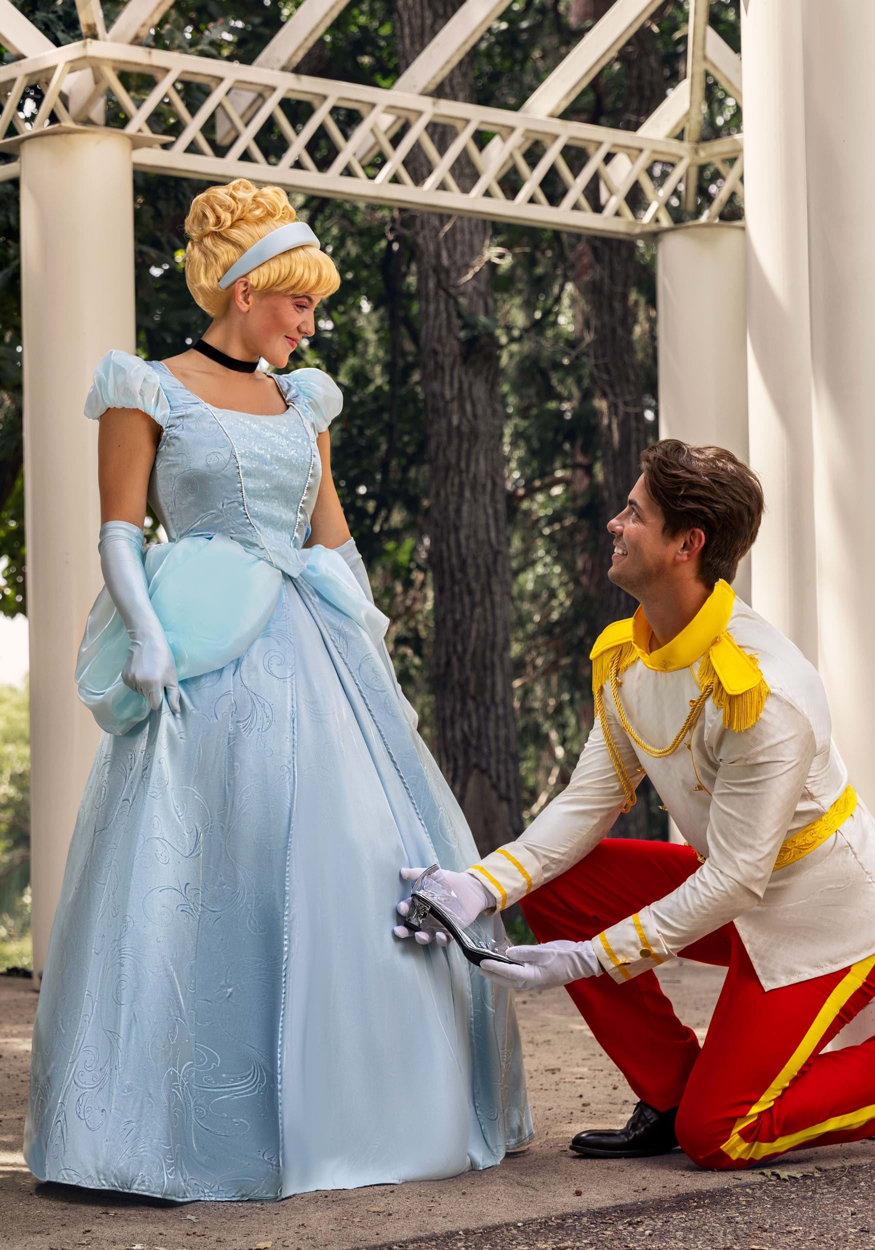 Cinderella Prince Charming Men's Costume